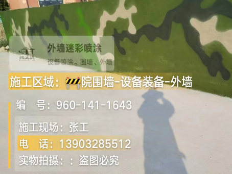 泰州 迷彩漆喷涂价格（按平方米计费）